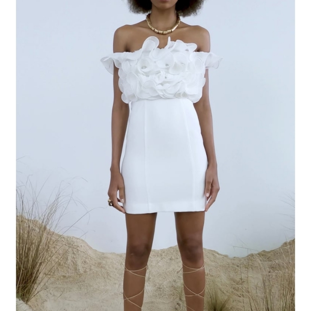 Zara pleated ruffled mini dress